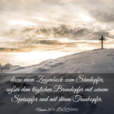 Picture 03 - Numeri 29:31 LUTH1912 - dazu einen Ziegenbock zum Sündopfer, außer dem - Bible Verse Picture