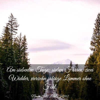 Picture 03 - Numeri 29:32 LUTH1912 - Am siebenten Tage: sieben Farren, zwei Widder, - Bible Verse Picture