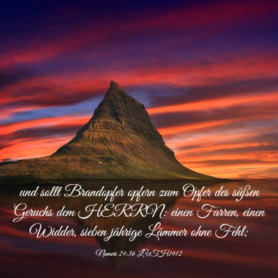 Picture 03 - Numeri 29:36 LUTH1912 - und sollt Brandopfer opfern zum Opfer des süßen - Bible Verse Picture