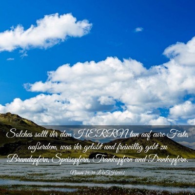 Picture 03 - Numeri 29:39 LUTH1912 - Solches sollt ihr dem HERRN tun auf eure Feste, - Bible Verse Picture