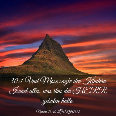 Picture 03 - Numeri 29:40 LUTH1912 - 30:1 Und Mose sagte den Kindern Israel alles, was - Bible Verse Picture