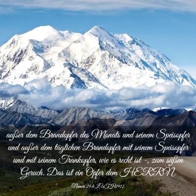 Picture 03 - Numeri 29:6 LUTH1912 - außer dem Brandopfer des Monats und seinem - Bible Verse Picture