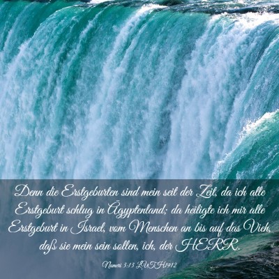 Picture 03 - Numeri 3:13 LUTH1912 - Denn die Erstgeburten sind mein seit der Zeit, da - Bible Verse Picture