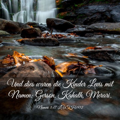 Picture 03 - Numeri 3:17 LUTH1912 - Und dies waren die Kinder Levis mit Namen: - Bible Verse Picture