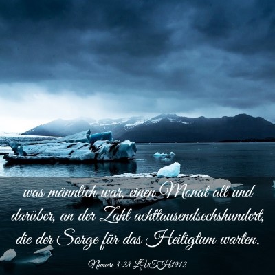 Picture 03 - Numeri 3:28 LUTH1912 - was männlich war, einen Monat alt und darüber, - Bible Verse Picture