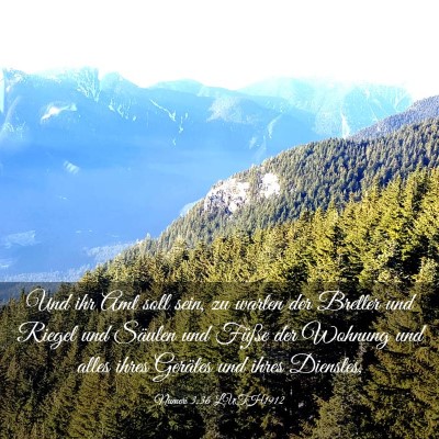 Picture 03 - Numeri 3:36 LUTH1912 - Und ihr Amt soll sein, zu warten der Bretter und - Bible Verse Picture