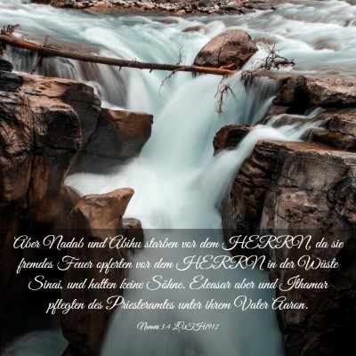 Picture 03 - Numeri 3:4 LUTH1912 - Aber Nadab und Abihu starben vor dem HERRN, da - Bible Verse Picture