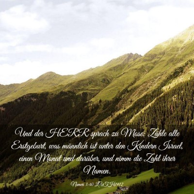 Picture 03 - Numeri 3:40 LUTH1912 - Und der HERR sprach zu Mose: Zähle alle - Bible Verse Picture