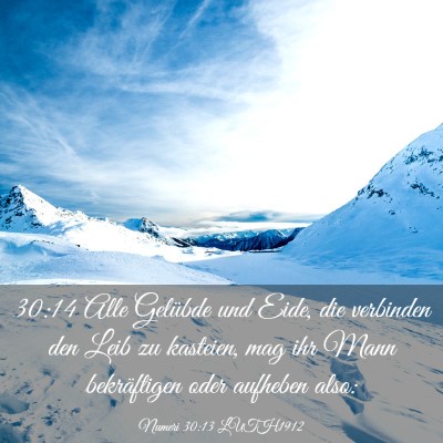 Picture 03 - Numeri 30:13 LUTH1912 - 30:14 Alle Gelübde und Eide, die verbinden den - Bible Verse Picture