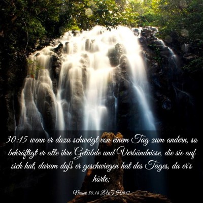 Picture 03 - Numeri 30:14 LUTH1912 - 30:15 wenn er dazu schweigt von einem Tag zum - Bible Verse Picture