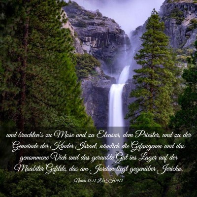 Picture 03 - Numeri 31:12 LUTH1912 - und brachten's zu Mose und zu Eleasar, dem - Bible Verse Picture