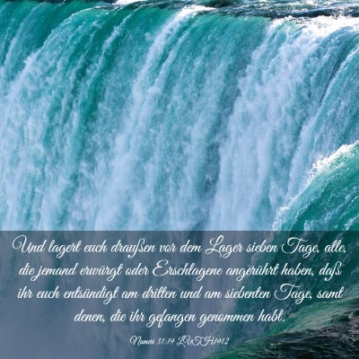 Picture 03 - Numeri 31:19 LUTH1912 - Und lagert euch draußen vor dem Lager sieben - Bible Verse Picture