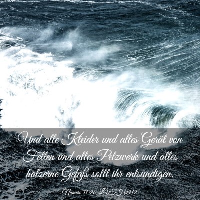 Picture 03 - Numeri 31:20 LUTH1912 - Und alle Kleider und alles Gerät von Fellen und - Bible Verse Picture