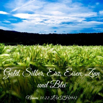 Picture 03 - Numeri 31:22 LUTH1912 - Gold, Silber, Erz, Eisen, Zinn und - Bible Verse Picture