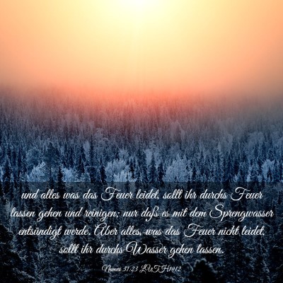 Picture 03 - Numeri 31:23 LUTH1912 - und alles was das Feuer leidet, sollt ihr durchs - Bible Verse Picture