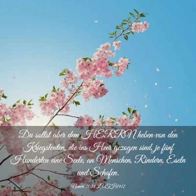 Picture 03 - Numeri 31:28 LUTH1912 - Du sollst aber dem HERRN heben von den - Bible Verse Picture