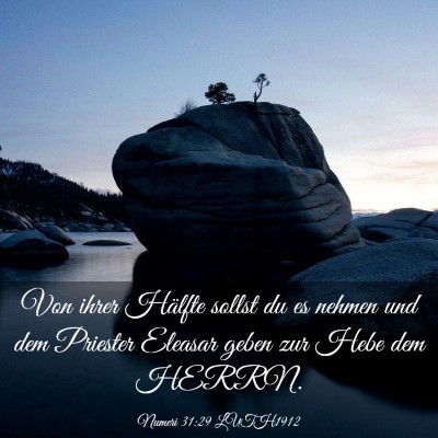 Picture 03 - Numeri 31:29 LUTH1912 - Von ihrer Hälfte sollst du es nehmen und dem - Bible Verse Picture