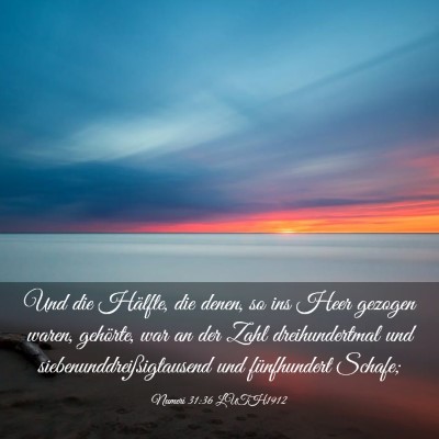 Picture 03 - Numeri 31:36 LUTH1912 - Und die Hälfte, die denen, so ins Heer gezogen - Bible Verse Picture