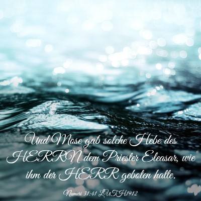 Picture 03 - Numeri 31:41 LUTH1912 - Und Mose gab solche Hebe des HERRN dem Priester - Bible Verse Picture