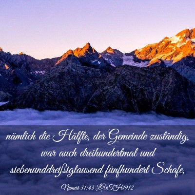 Picture 03 - Numeri 31:43 LUTH1912 - nämlich die Hälfte, der Gemeinde zuständig, - Bible Verse Picture