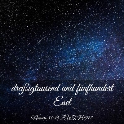 Picture 03 - Numeri 31:45 LUTH1912 - dreißigtausend und fünfhundert - Bible Verse Picture