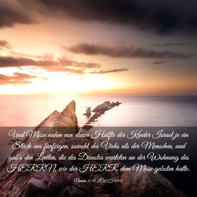 Picture 03 - Numeri 31:47 LUTH1912 - Und Mose nahm von dieser Hälfte der Kinder - Bible Verse Picture