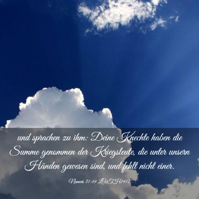 Picture 03 - Numeri 31:49 LUTH1912 - und sprachen zu ihm: Deine Knechte haben die - Bible Verse Picture