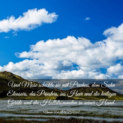 Picture 03 - Numeri 31:6 LUTH1912 - Und Mose schickte sie mit Pinehas, dem Sohn - Bible Verse Picture