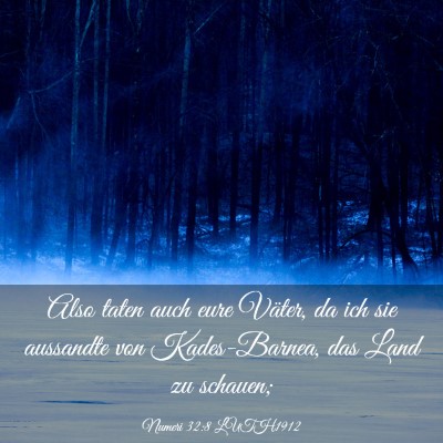 Picture 03 - Numeri 32:8 LUTH1912 - Also taten auch eure Väter, da ich sie aussandte - Bible Verse Picture