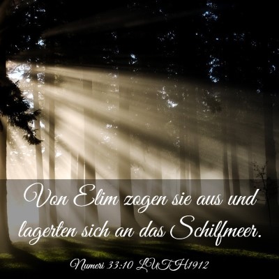 Picture 03 - Numeri 33:10 LUTH1912 - Von Elim zogen sie aus und lagerten sich an das - Bible Verse Picture