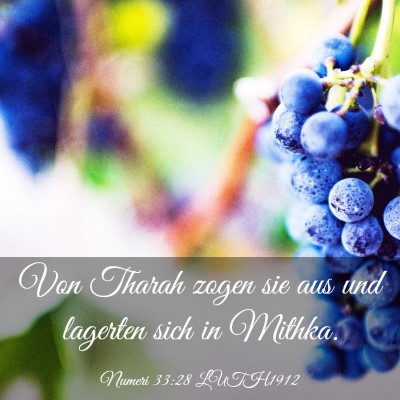 Picture 03 - Numeri 33:28 LUTH1912 - Von Tharah zogen sie aus und lagerten sich in - Bible Verse Picture