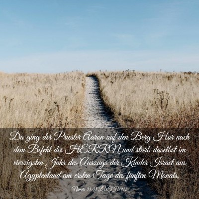 Picture 03 - Numeri 33:38 LUTH1912 - Da ging der Priester Aaron auf den Berg Hor nach - Bible Verse Picture