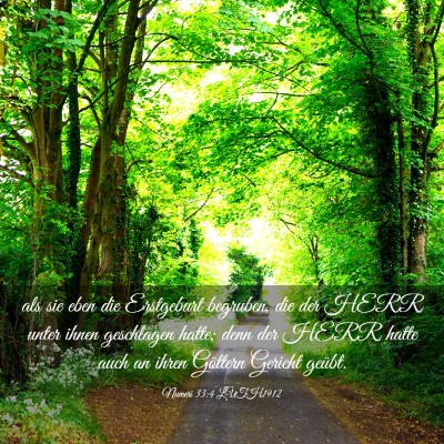 Picture 03 - Numeri 33:4 LUTH1912 - als sie eben die Erstgeburt begruben, die der - Bible Verse Picture