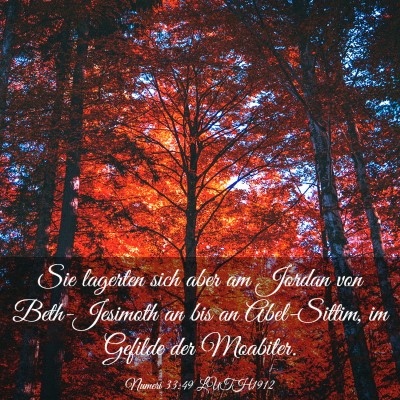 Picture 03 - Numeri 33:49 LUTH1912 - Sie lagerten sich aber am Jordan von - Bible Verse Picture