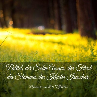 Picture 03 - Numeri 34:26 LUTH1912 - Paltiel, der Sohn Assans, der Fürst des Stammes - Bible Verse Picture