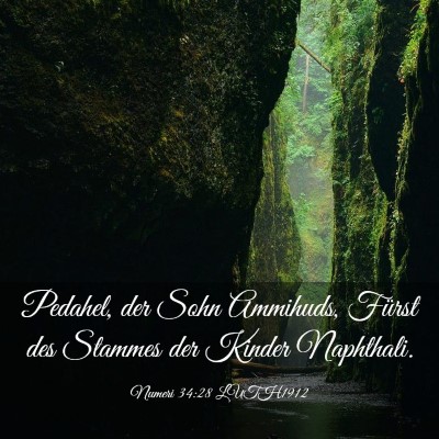 Picture 03 - Numeri 34:28 LUTH1912 - Pedahel, der Sohn Ammihuds, Fürst des Stammes - Bible Verse Picture
