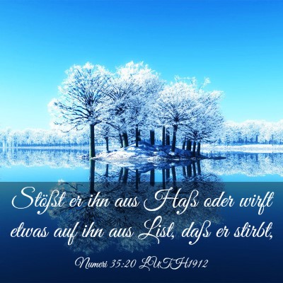 Picture 03 - Numeri 35:20 LUTH1912 - Stößt er ihn aus Haß oder wirft etwas auf ihn - Bible Verse Picture