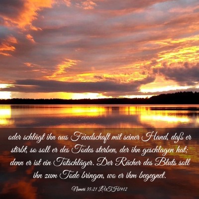 Picture 03 - Numeri 35:21 LUTH1912 - oder schlägt ihn aus Feindschaft mit seiner - Bible Verse Picture