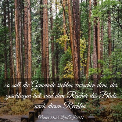 Picture 03 - Numeri 35:24 LUTH1912 - so soll die Gemeinde richten zwischen dem, der - Bible Verse Picture