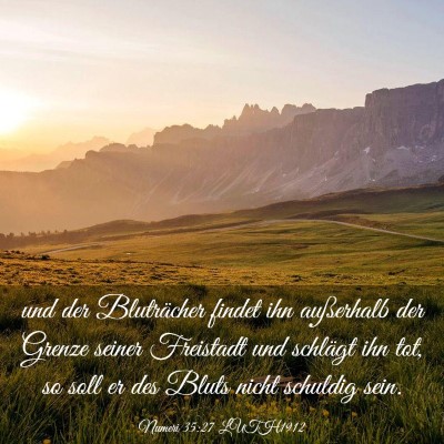 Picture 03 - Numeri 35:27 LUTH1912 - und der Bluträcher findet ihn außerhalb der - Bible Verse Picture