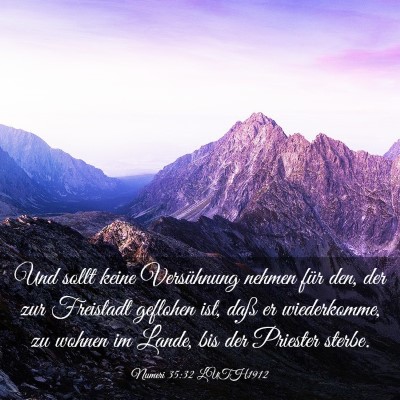 Picture 03 - Numeri 35:32 LUTH1912 - Und sollt keine Versühnung nehmen für den, der - Bible Verse Picture