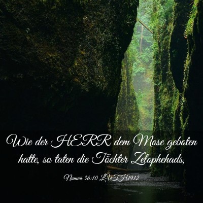 Picture 03 - Numeri 36:10 LUTH1912 - Wie der HERR dem Mose geboten hatte, so taten die - Bible Verse Picture