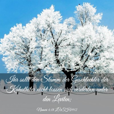 Picture 03 - Numeri 4:18 LUTH1912 - Ihr sollt den Stamm der Geschlechter der - Bible Verse Picture