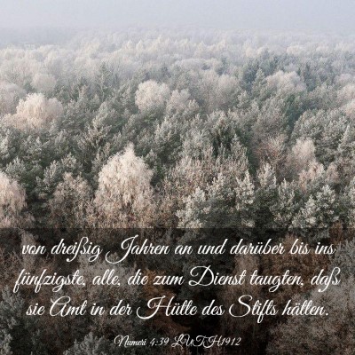 Picture 03 - Numeri 4:39 LUTH1912 - von dreißig Jahren an und darüber bis ins - Bible Verse Picture