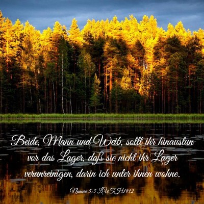 Picture 03 - Numeri 5:3 LUTH1912 - Beide, Mann und Weib, sollt ihr hinaustun vor das - Bible Verse Picture