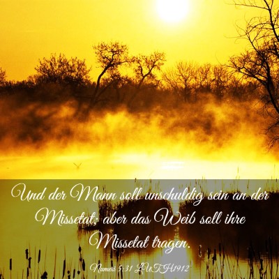 Picture 03 - Numeri 5:31 LUTH1912 - Und der Mann soll unschuldig sein an der - Bible Verse Picture