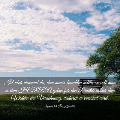 Picture 03 - Numeri 5:8 LUTH1912 - Ist aber niemand da, dem man's bezahlen sollte, - Bible Verse Picture