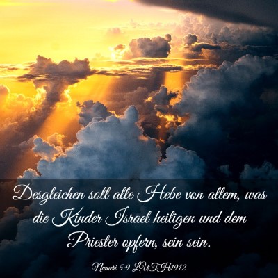 Picture 03 - Numeri 5:9 LUTH1912 - Desgleichen soll alle Hebe von allem, was die - Bible Verse Picture