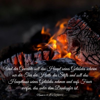 Picture 03 - Numeri 6:18 LUTH1912 - Und der Geweihte soll das Haupt seines Gelübdes - Bible Verse Picture