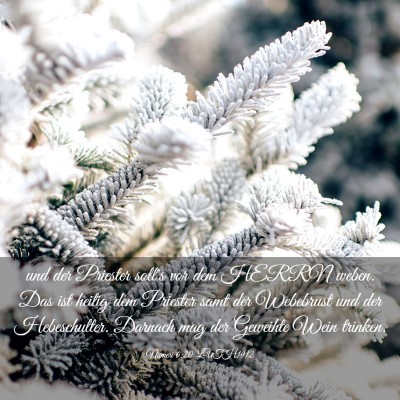 Picture 03 - Numeri 6:20 LUTH1912 - und der Priester soll's vor dem HERRN weben. Das - Bible Verse Picture